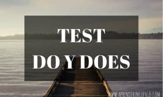 test do y does