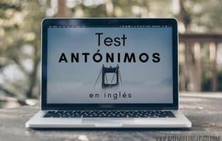 test antónimos en inglés